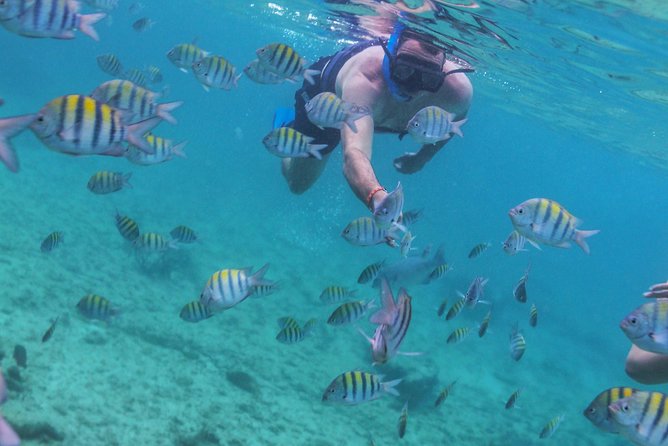 Isla Mujeres Luxury Sailing: Adults Only or Family Friendly - Arriving at Isla Mujeres