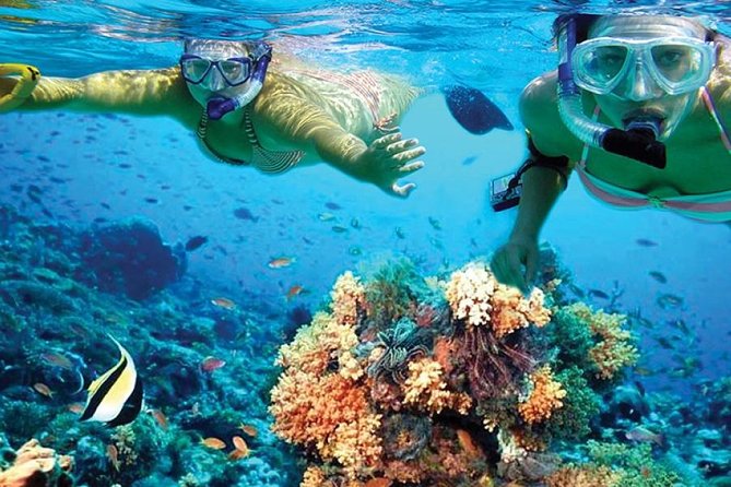 Isla Mujeres tour in a Catamaran with snorkel, open bar, lunch - Lunch and beach-club time on Isla Mujeres