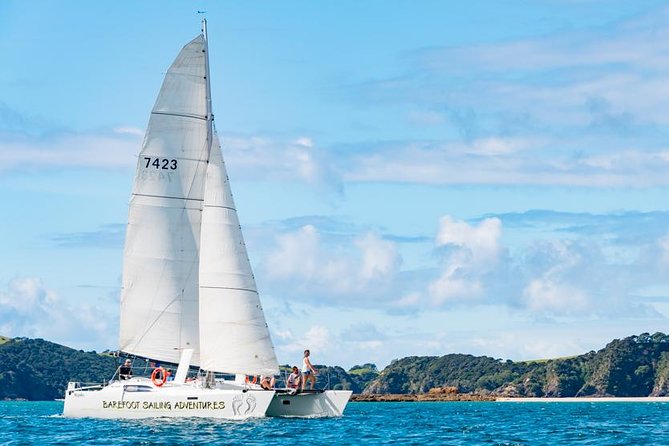 Island Hopper Day Cruise - sailing to wildlife sanctuary island - 6 hr cruise - Key points at a glance