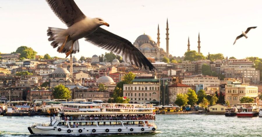 Istanbul: Private Bosphorus Cruise By Luxury Yacht - What the private setup adds