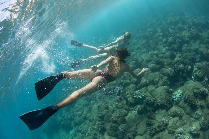 Kauai’s Na Pali Coast Snorkel and Sail Tour - The rough-water question
