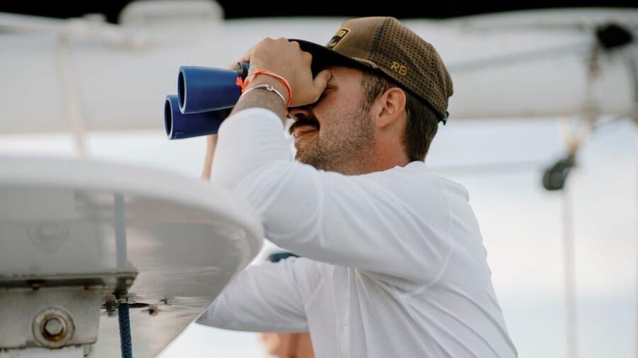 Key West: Afternoon Catamaran Sail and Dolphin Watch - Should you book this dolphin cruise?