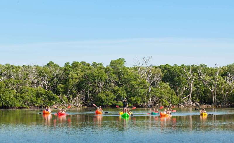 Key West Afternoon Sail, Snorkel, Kayak & Sunset Excursion - Snorkeling in the Florida Keys