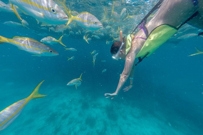 Key West Afternoon Snorkel Sail with Unlimited Cocktails! - Reaching the only living coral barrier reef in the United States