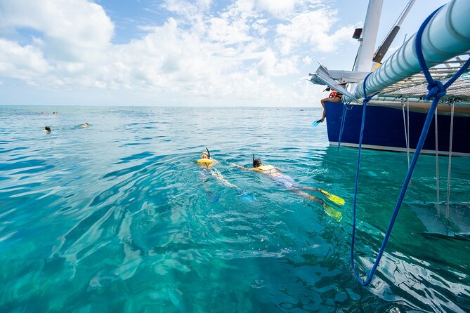 Key West Afternoon Snorkel Sail with Unlimited Cocktails! - Practical planning for a smoother trip