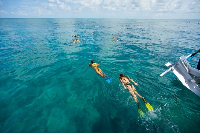 Key West Afternoon Snorkel Sail with Unlimited Cocktails! - What the snorkeling time is really like