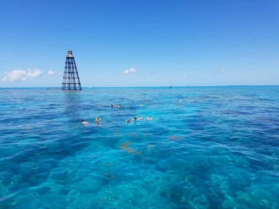 Key West: Catamaran Snorkel with Seafood Boil and Open Bar - From Key West Seaport to open water