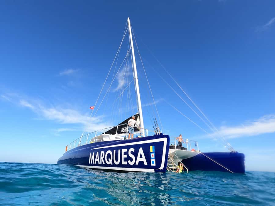 Key West: Catamaran Snorkel with Seafood Boil and Open Bar - Two snorkeling stops, with room for beginners