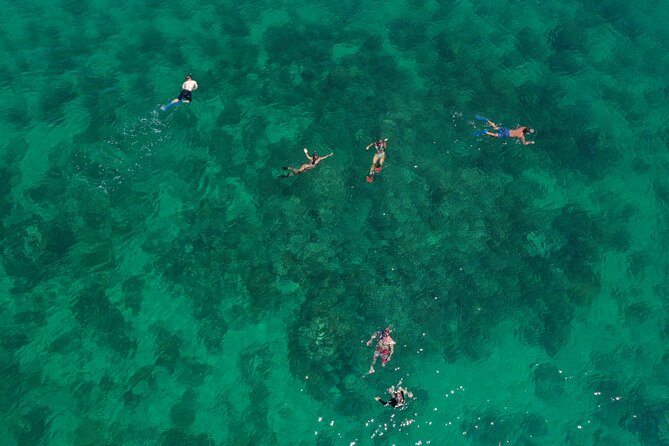 Key West Full-Day Ocean Adventure: Kayak, Snorkel, Sail - Kayaking through the mangrove canopy