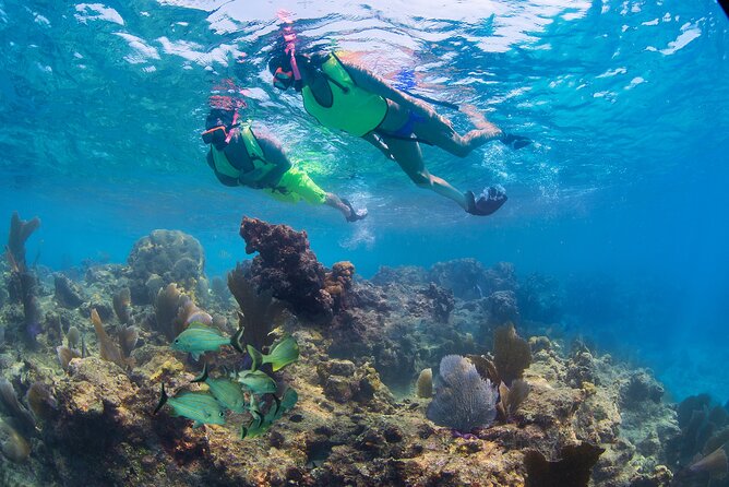 Key West Rum and Reggae: Reef Snorkel Adventure and Sunset Sail - Captain Ron, the crew, and the family fit