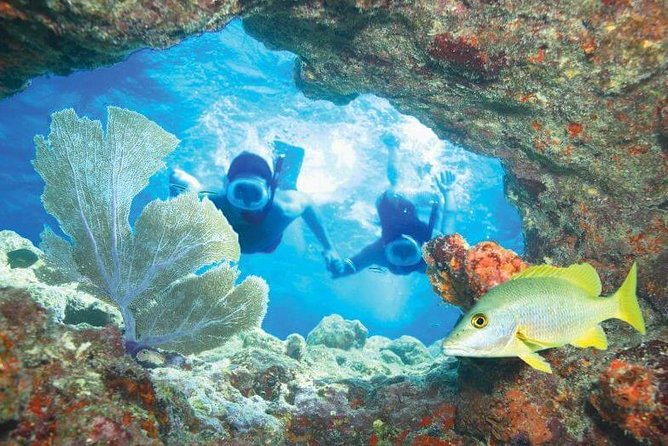 Key West Rum and Reggae: Reef Snorkel Adventure and Sunset Sail - Who should book this Key West outing?