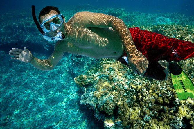 Key West Rum and Reggae: Reef Snorkel Adventure and Sunset Sail - The ride offshore and the reef briefing