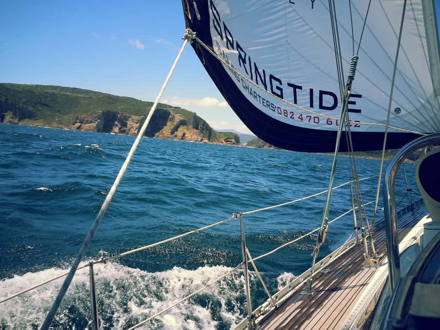 Knysna: 2.5-Hour Day Sail & Lunch Charter - The practical details that matter