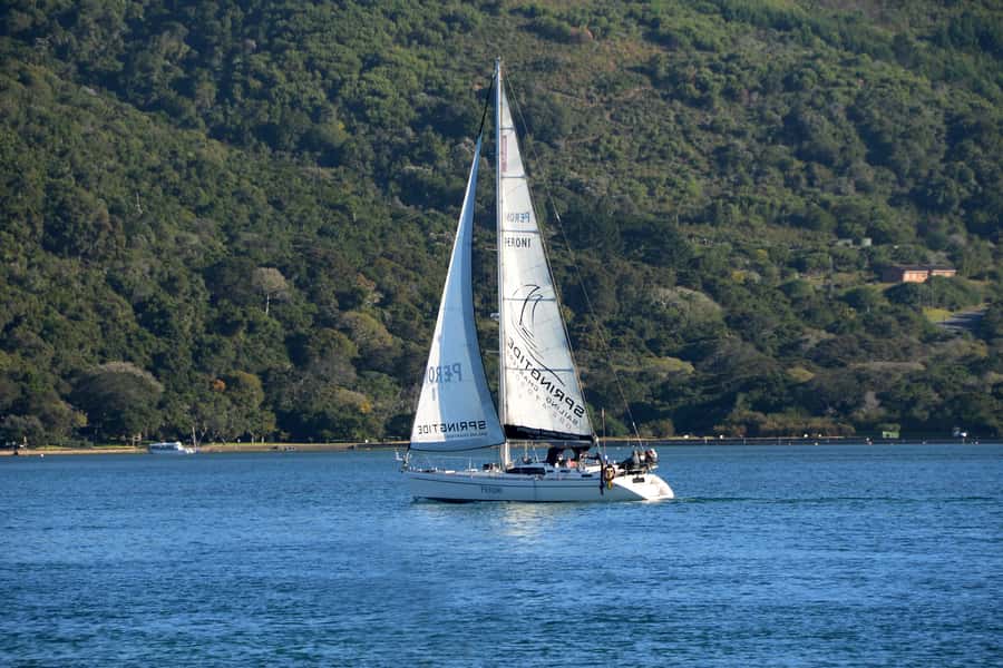 Knysna: 2.5-Hour Day Sail & Lunch Charter - Who should book the Outeniqua?