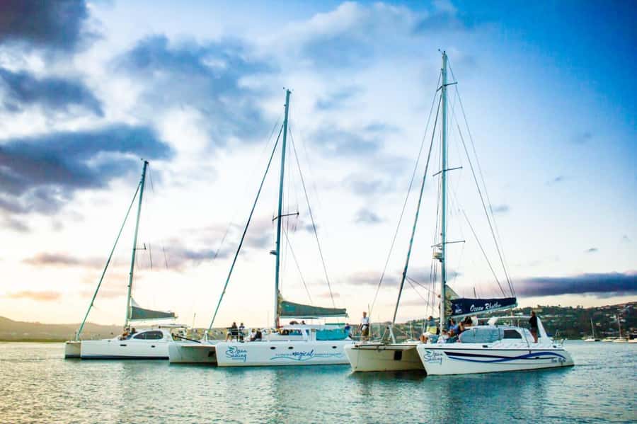 Knysna: Luxury Catamaran Marine Adventure Tour - The Knysna Lagoon From the Water