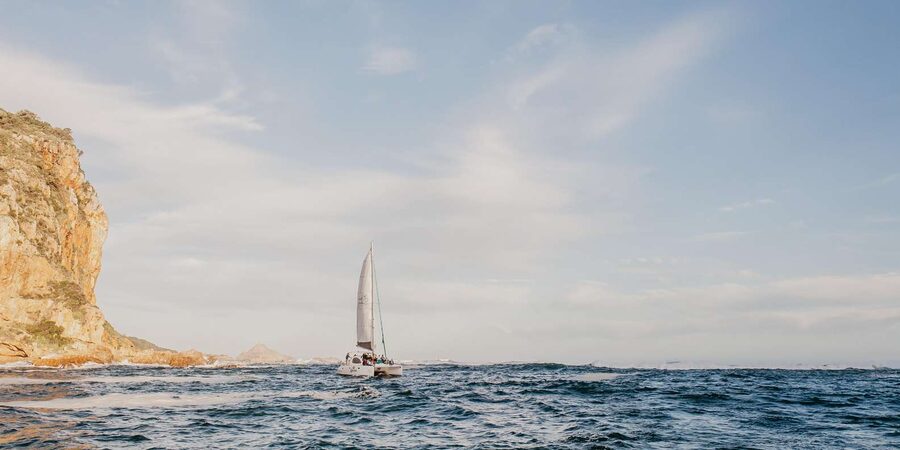 Knysna: Luxury Catamaran Marine Adventure Tour - What the Bubbly and Snacks Add