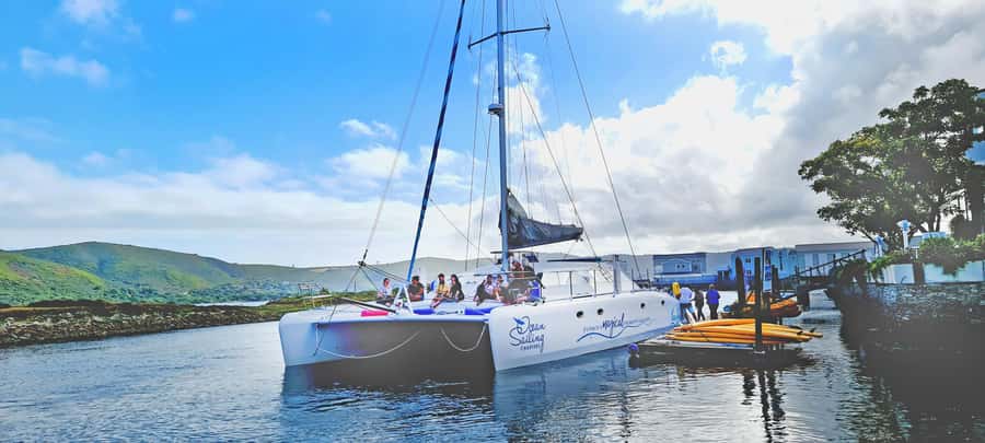 Knysna: Luxury Catamaran Marine Adventure Tour - Who Will Enjoy This Cruise Most