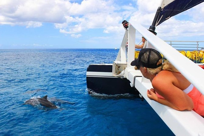 Ko Olina Catamaran Sail and Snorkel with Lunch - Why this Ko Olina catamaran trip works so well