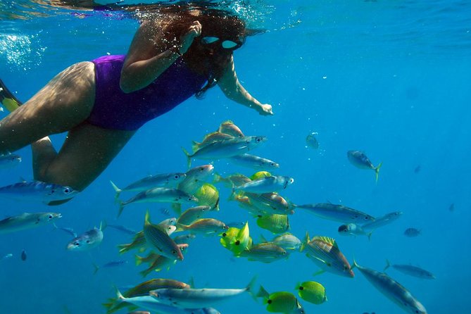 Ko Olina Catamaran Sail and Snorkel with Lunch - What makes the crew especially useful