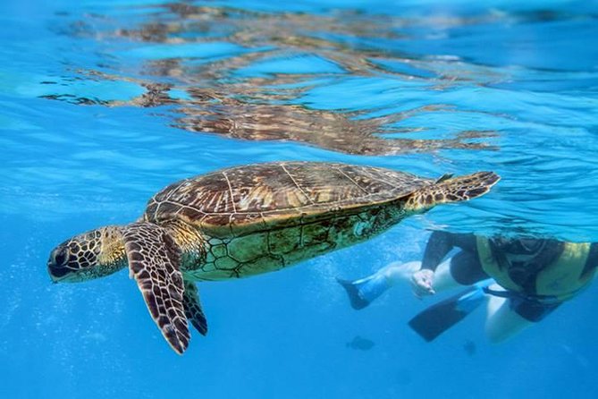 Ko Olina Catamaran Sail and Snorkel with Lunch - Price, pickup, and who gets the best value