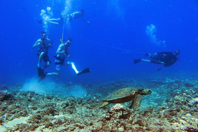 Ko Olina Catamaran Sail and Snorkel with Lunch - Practical planning details that matter