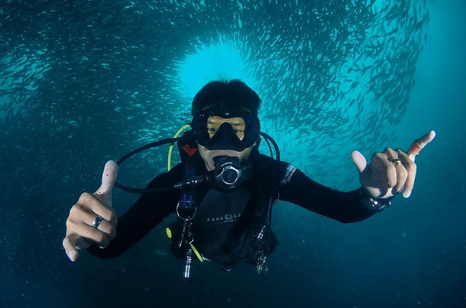 Koh Samui 2-Dive Trip to Sail Rock for certified divers - How the timing affects your Koh Samui plans