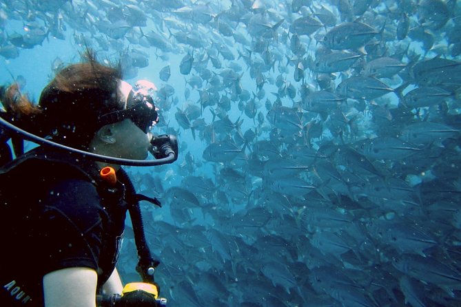 Koh Samui 2-Dive Trip to Sail Rock for certified divers - A seven-hour morning built around two sessions
