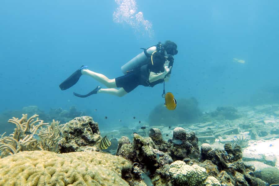 Koh Samui: Day Trip Diving at Sail Rock - Why Sail Rock is worth the boat ride