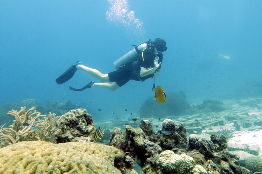 Koh Samui: Day Trip Diving at Sail Rock - How the $186 price works out