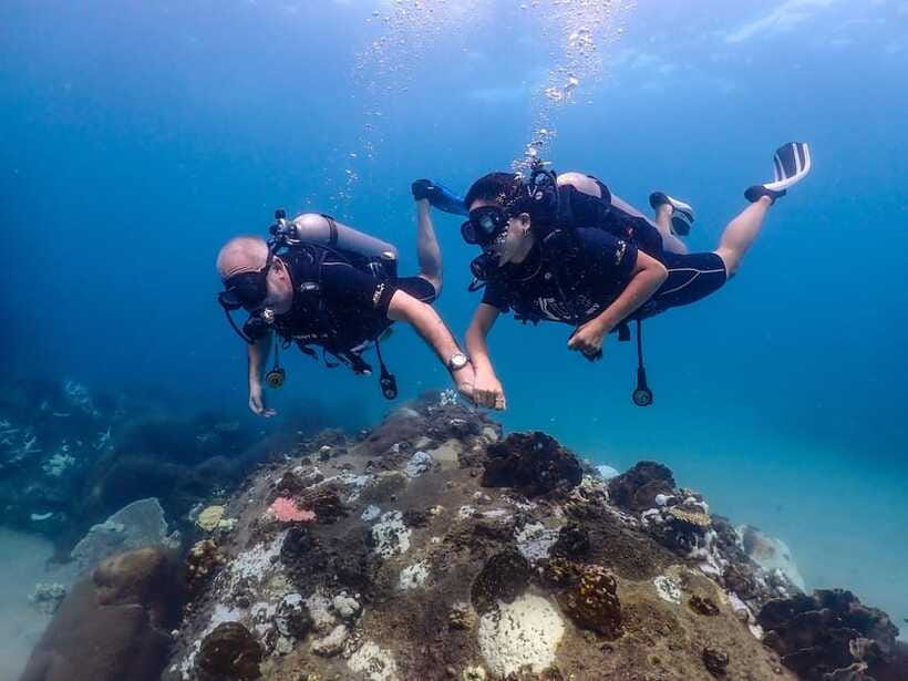 Koh Samui: Discovery Dive to Koh Tao or Sail Rock - A few practical points that matter