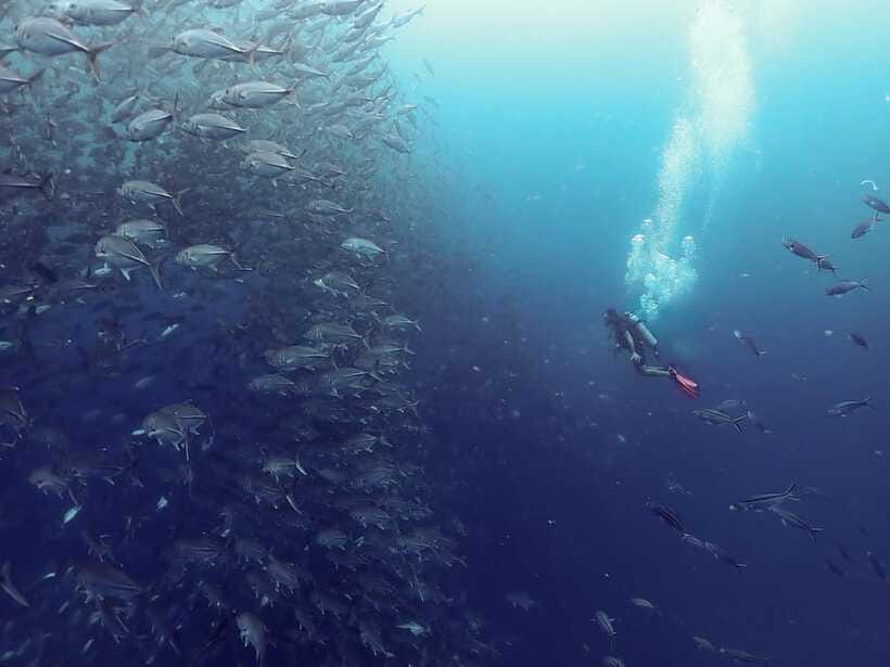 Koh Samui: Dive Tour to Sail Rock - What the $204 price really covers