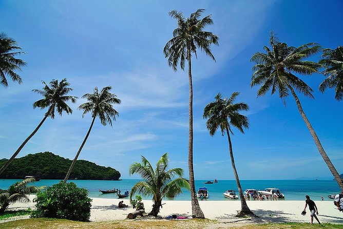 Koh Samui to Angthong Marine Park Cruise Tour By Red Baron Chinese Sailboat - The return cruise and sunset near Koh Samui