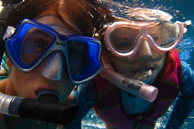 Kona Luxury Catamaran Yacht Snorkel & Sail - Should you book the Kona luxury catamaran?