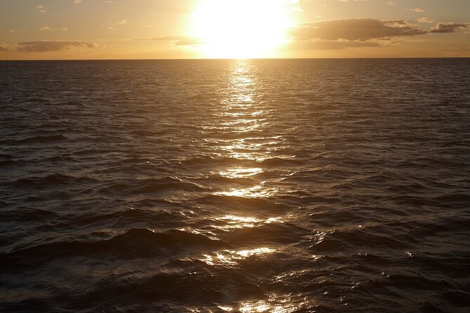 Kona Signature Catamaran Sunset Sail - Price, timing, and cancellation details