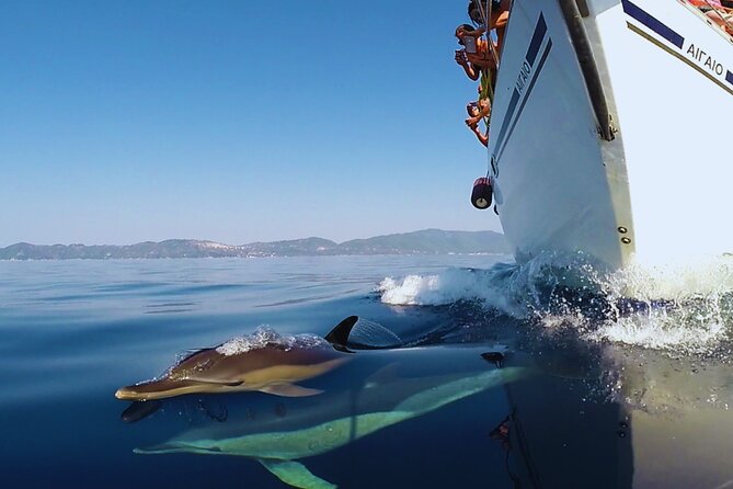 Kos: Small Group Full-Day Sailing with Meal, Drinks, & Swim - Lunch served while the boat is anchored