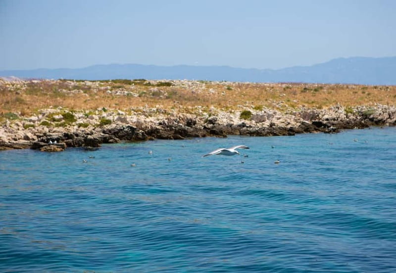 Krk : Sailing along the coasts of island Krk and Plavnik - Setting Out From Krk Harbor