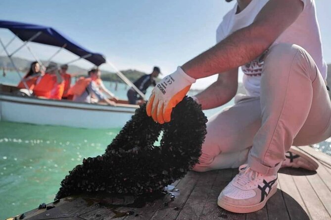 Ksamil: Mussel Sailing Tour with Food and Drink in Albania - Seeing how the mussel farm works