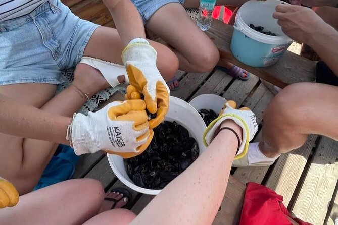 Ksamil: Mussel Sailing Tour with Food and Drink in Albania - The ride back through Butrint National Park