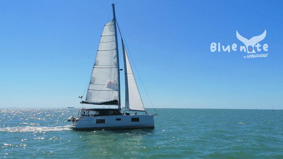 La Flotte, Ile de Ré: Sailing Catamaran Cruise - Key points to know before sailing