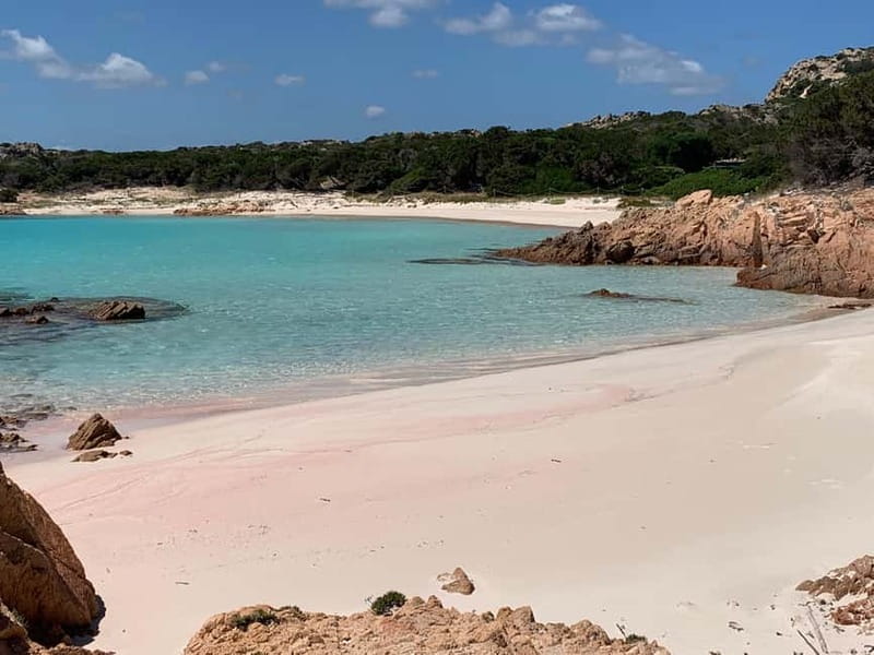 La Maddalena: daily sailing tour archipelago La Maddalena - Who will enjoy this sailing day most