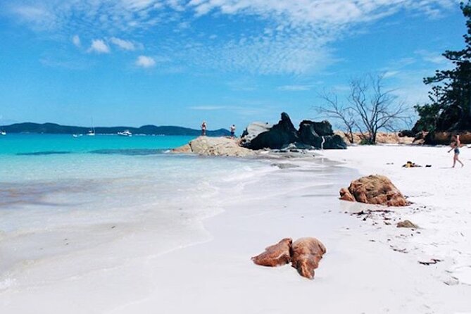Lady Enid Sailing and Snorkeling Day Trip including Whitehaven Beach - Who should book this sailing day