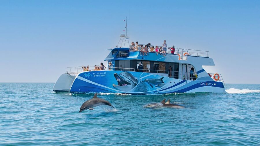 Lagos: Dolphins & Caves - Catamaran - Key points before you book