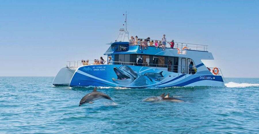 Lagos: Dolphins & Caves - Catamaran - Setting out from Marina de Lagos
