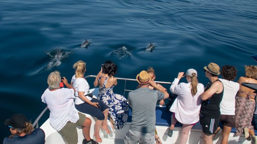 Lagos: Dolphins & Caves - Catamaran - Is $58 good value?