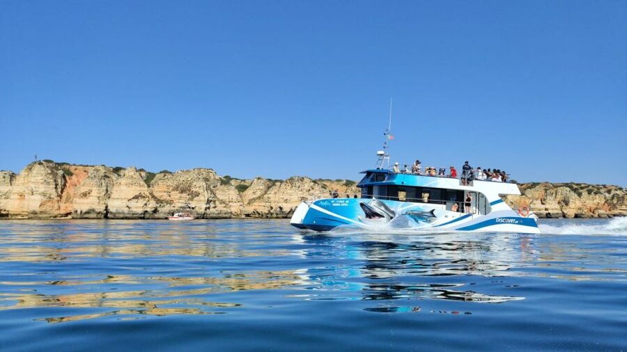 Lagos: Dolphins & Caves - Catamaran - Searching for dolphins offshore