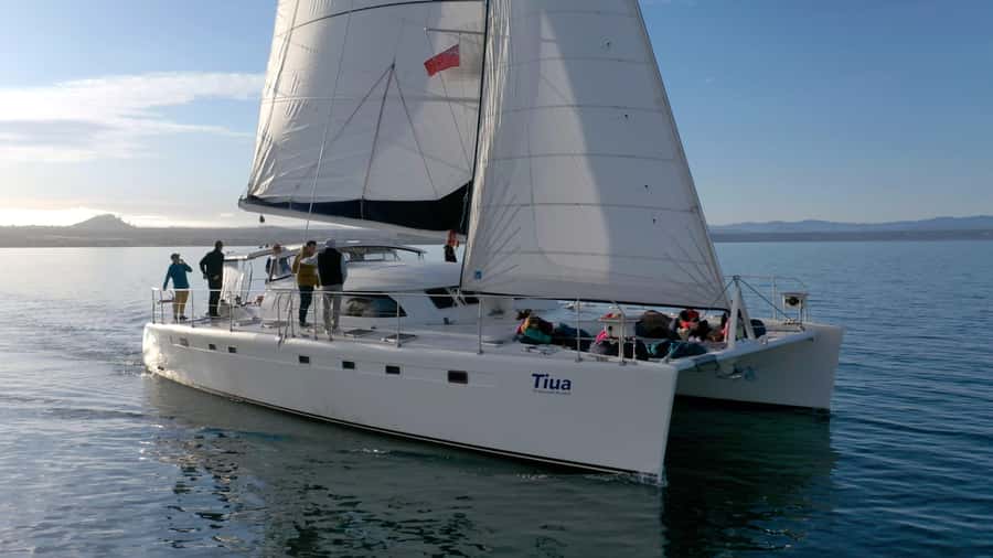 Lake Taupo: Luxury Sailing Catamaran to Māori Rock Carvings - Arriving at the Māori Rock Carvings