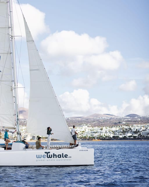 Lanzarote: Whale and Dolphin Watching Eco-Friendly Catamaran - What the four-hour outing feels like