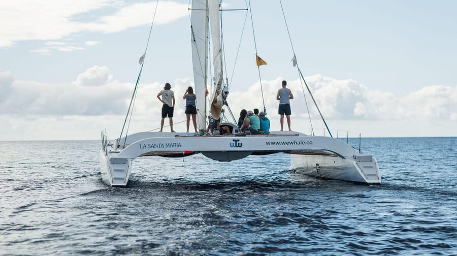 Lanzarote: Whale and Dolphin Watching Eco-Friendly Catamaran - Snacks, drinks, and comfort on board