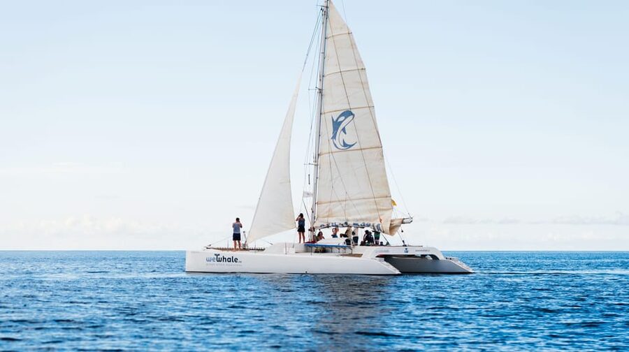 Lanzarote: Whale and Dolphin Watching Eco-Friendly Catamaran - Who will enjoy this trip most
