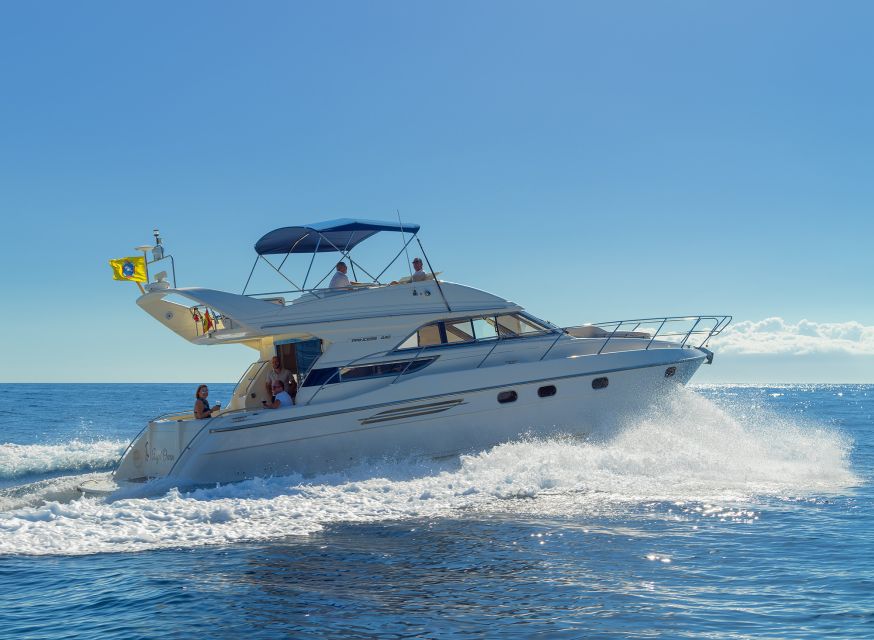 Las Galletas: Private Luxury Yacht Cruise with Lunch - Key points to know before booking